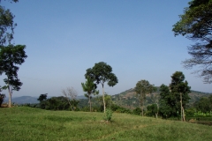 DSC02583