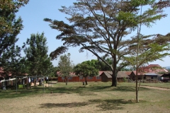 DSC02659