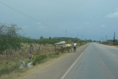 DSC02971